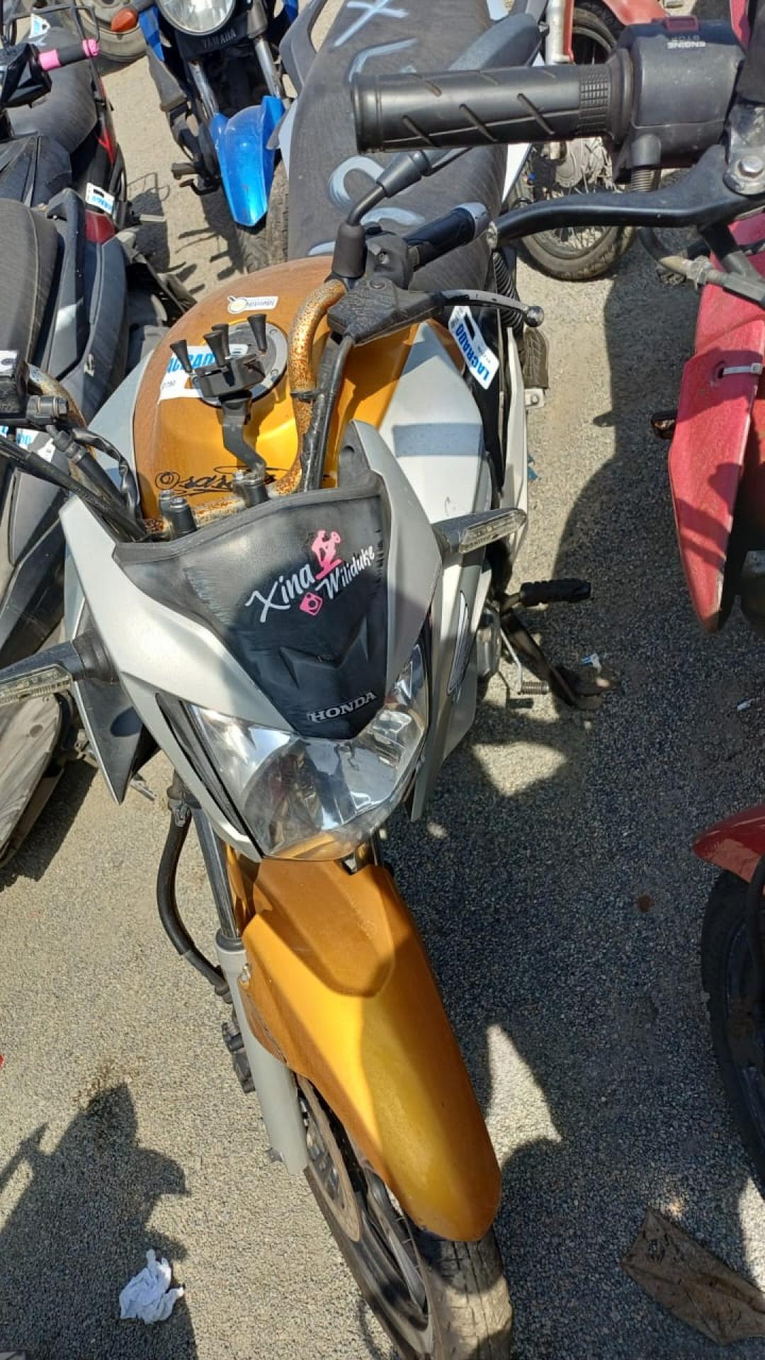 https://assets.okleiloes.com.br/imagens/lotes/lote_5529/3.AvHxfDq1dBJduf8qXLSB.jpg