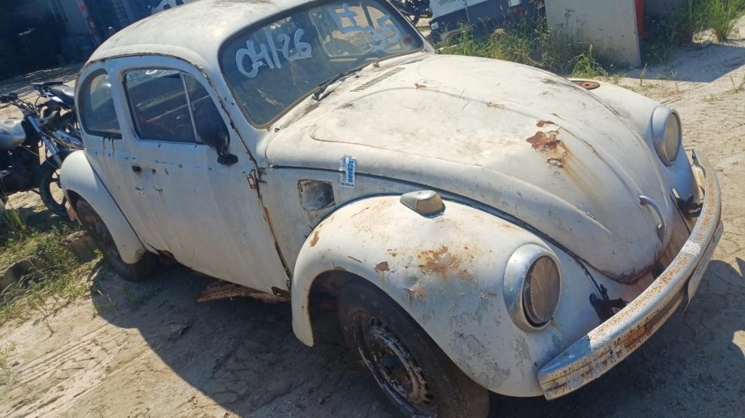 VW/VOLKSWAGEM | 1981/1981