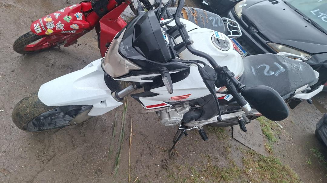 https://assets.okleiloes.com.br/imagens/lotes/lote_6561/1.lcwhgn2rHW5GH1qmPkIQ.jpg