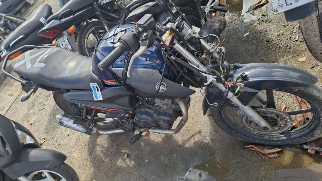 YAMAHA/YBR150 FACTOR ED | 2023/2024 